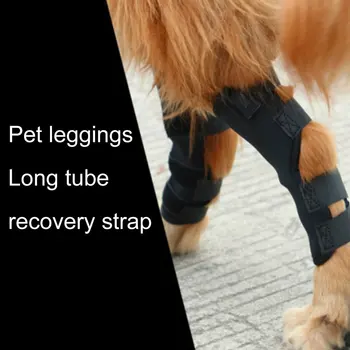 1 Чифт Наколенников за кучета за Защита на краката, Лек и преносим Протектор за коленете за кучета за Защита на краката, за домашни кучета Защита за коленете Поддръжка устойчив на удари
